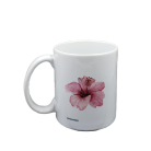 06292b96733f5514dbe7c2177b3e3136.png
